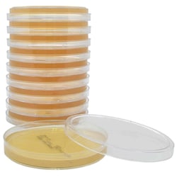Hardy Diagnostics&nbsp;SterEM Sabouraud Dextrose Agar, (SabDex Agar), USP, Irradiated, Triple Bagged