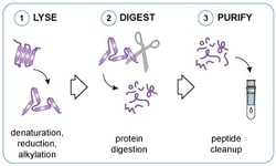 Proteintech ChromoTek iST Myc-Trap Kit 8 Reactions | Buy Online | Proteintech | Fisher Scientific