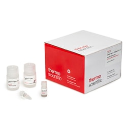 Thermo Scientific&trade;&nbsp;SMART Digest&trade; OligoSelect&trade; Kit (Magnetic WAX Bead Format)
