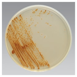 Thermo Scientific™ Remel™ BiGGY Agar