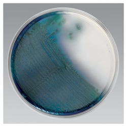 Thermo Scientific&trade;&nbsp;Pseudomonas Isolation Agar