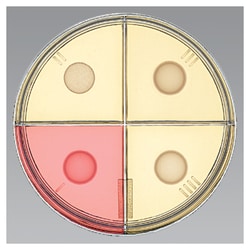Thermo Scientific™ Synergy Quad Medium