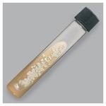 Thermo Scientific™ Sabouraud Dextrose Agar (Emmons)