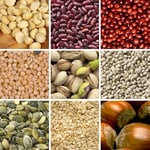 Thermo Scientific™ ImmunoCAP™  Seed, Legume and Nut Allergens