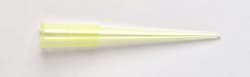 Thermo Scientific QSP Filter and Non-Filtered Pipette Tips