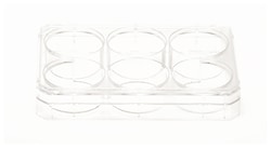 Thermo Scientific Nunc Multidishes with HydroCell Surface 6 | Buy Online | Thermo Scientific&trade; | Fisher Scientific