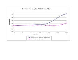 Gibco Human PDGF-CC Recombinant Protein, PeproTech 100 &mu;g | Buy Online | Gibco&trade; | Fisher Scientific