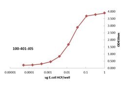 HMW E.Coli Host Cell ProteinsRabbit anti-Bacteria, Polyclonal, Rockland 100 &mu;L | Buy Online | Rockland Immunochemicals | Fisher Scientific