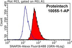 SNAPIN Rabbit anti-Human, Mouse, Rat, Polyclonal, Proteintech 20 &mu;L;