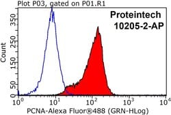 PCNA Rabbit anti-Human, Mouse, Rat, Zebrafish, Polyclonal, Proteintech