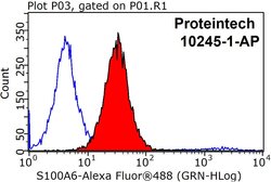 S100A6 Rabbit anti-Human, Polyclonal, Proteintech:Antibodies:Primary Antibodies