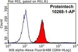 IkB alpha Rabbit anti-Human, Mouse, Porcine, Polyclonal, Proteintech 150