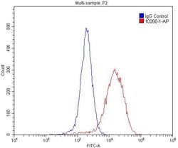 IkB alpha Rabbit anti-Human, Mouse, Porcine, Polyclonal, Proteintech 150