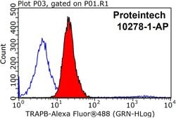 TRAPB/SSR2 Rabbit anti-Human, Mouse, Rat, Polyclonal, Proteintech:Antibodies:Primary