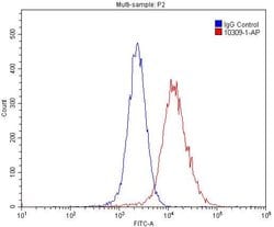 GPRC5A/RAI3 Rabbit anti-Human, Polyclonal, Proteintech:Antibodies:Primary