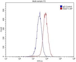 RAMP1 Rabbit anti-Human, Polyclonal, Proteintech:Antibodies:Primary Antibodies