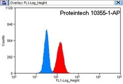 P21 Rabbit anti-Human, Polyclonal, Proteintech:Antibodies:Primary Antibodies