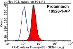 RRM1 Rabbit anti-Human, Mouse, Non-human primate, Rat, Polyclonal, Proteintech