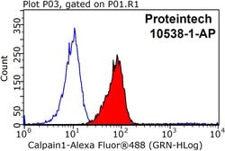 Calpain 1 Rabbit anti-Human, Mouse, Rat, Polyclonal, Proteintech 150 μL;