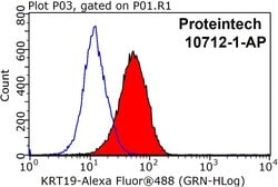 Cytokeratin 19 Rabbit anti-Human, Mouse, Polyclonal, Proteintech 150 &mu;L;