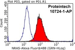 NRAS Rabbit anti-Human, Mouse, Rat, Polyclonal, Proteintech:Antibodies:Primary