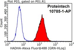 HADHA Rabbit anti-Human, Mouse, Rat, Polyclonal, Proteintech:Antibodies:Primary