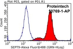SEPT9 Rabbit anti-Human, Mouse, Rat, Polyclonal, Proteintech 150 &mu;L;