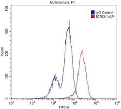 Bcl-XL Rabbit anti-Human, Mouse, Rat, Polyclonal, Proteintech:Antibodies:Primary