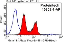 Geminin Rabbit anti-Human, Mouse, Rat, Polyclonal, Proteintech:Antibodies:Primary