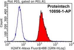 Histone H2A.X Rabbit anti-Human, Mouse, Rat, Polyclonal, Proteintech:Antibodies:Primary