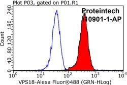 VPS18 Rabbit anti-Human, Mouse, Rat, Polyclonal, Proteintech:Antibodies:Primary
