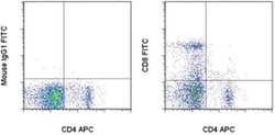 CD8a Monoclonal Antibody (OX8), FITC, eBioscience:Antibodies, Monoclonal