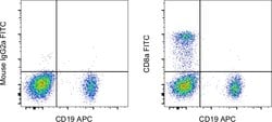 CD8a Monoclonal Antibody (OKT8 (OKT-8)), FITC, eBioscience , Invitrogen:Antibodies:Primary