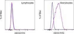 Invitrogen CD10 Monoclonal Antibody (eBioCB-CALLA (CB-CALLA)), FITC, eBioscience:Antibodies:Primary