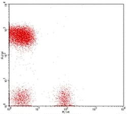 Invitrogen CD19 Monoclonal Antibody (HIB19), FITC, eBioscience , Invitrogen
