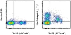 CD29 (Integrin beta 1) Monoclonal Antibody (eBioHMb1-1 (HMb1-1)), FITC,