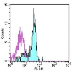 Invitrogen CD116 Monoclonal Antibody (4H1), FITC, eBioscience:Antibodies:Primary