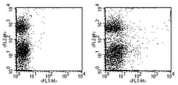 CD117 (c-Kit) Monoclonal Antibody (2B8), FITC, eBioscience , Invitrogen:Antibodies:Primary