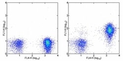 Invitrogen CD127 Monoclonal Antibody (eBioRDR5), FITC, eBioscience , Invitrogen
