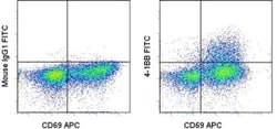 Invitrogen CD137 (4-1BB) Monoclonal Antibody (4B4 (4B4-1)), FITC, eBioscience