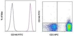 Invitrogen CD146 Monoclonal Antibody (P1H12), FITC, eBioscience , Invitrogen