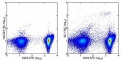 CD317 (BST2, PDCA-1) Monoclonal Antibody (eBio927), FITC, eBioscience ,