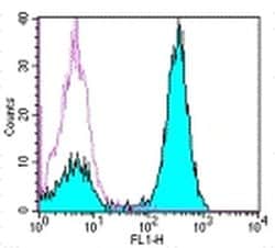 Invitrogen Rat anti-Mouse IgG (H+L) Secondary Antibody, FITC, eBioscience