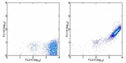 Invitrogen Rat anti-Mouse IgG (H+L) Secondary Antibody, FITC, eBioscience