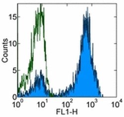 Invitrogen Rat anti-Mouse IgG (H+L) Secondary Antibody, FITC, eBioscience