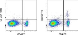Rat IgG1 kappa Isotype Control (eBRG1), FITC, eBioscience , Invitrogen:Antibodies:Isotype