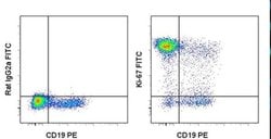 Rat IgG2a kappa Isotype Control (eBR2a), FITC, eBioscience , Invitrogen:Antibodies:Isotype