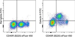 Rat IgG2a kappa Isotype Control (eBR2a), FITC, eBioscience , Invitrogen:Antibodies:Isotype