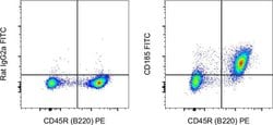Rat IgG2a kappa Isotype Control (eBR2a), FITC, eBioscience , Invitrogen:Antibodies:Isotype
