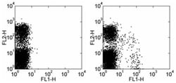 Invitrogen NKG2A/C/E Monoclonal Antibody (20d5), FITC, eBioscience , Invitrogen
